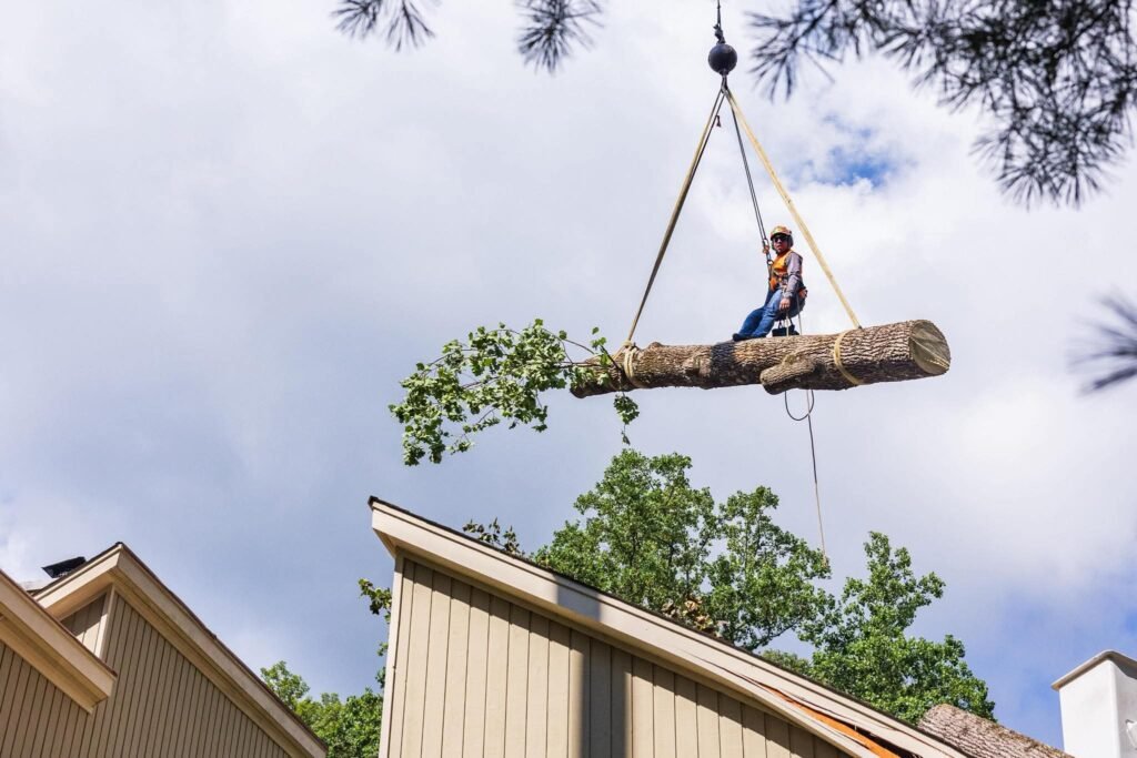 Free Tree Estimates Easton | Professional Experts
