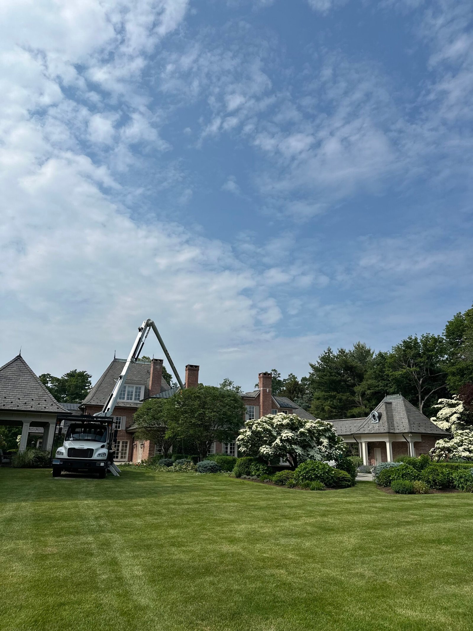 Residential tree work Weston showing freshly pruned healthy trees and clean surroundings