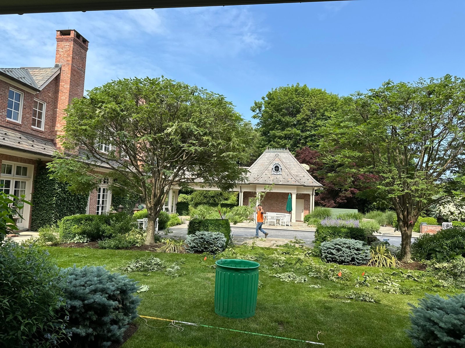 Tree Pruning Easton experts providing precise trimming and shaping services