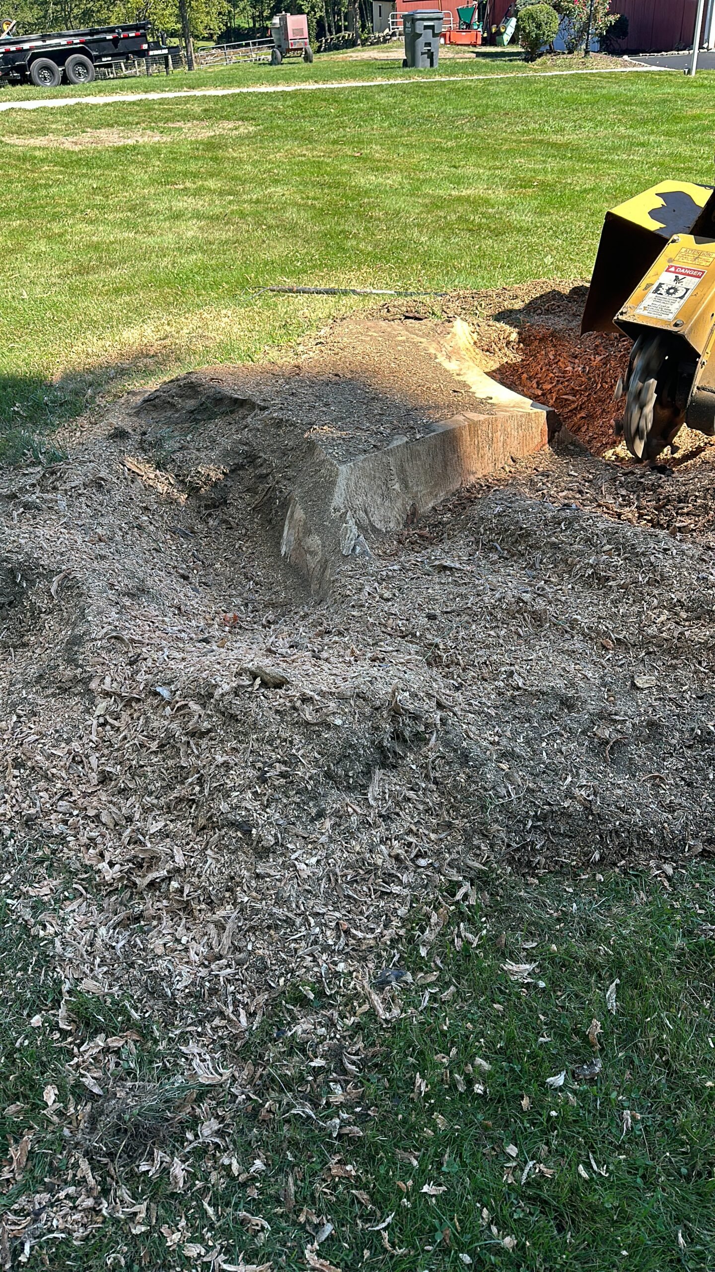 Tree work Weston experts using advanced equipment for precise tree cutting
